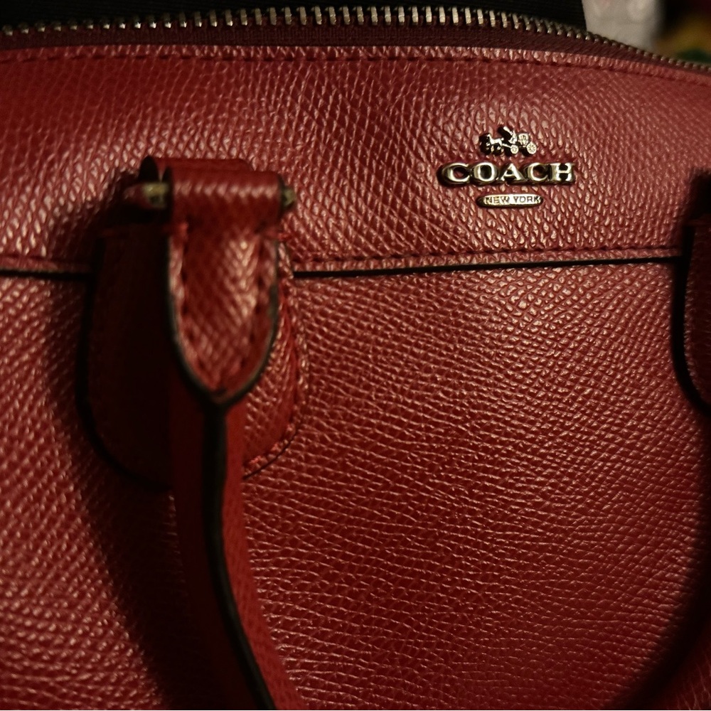 Peanuts/Snoopy Mini Bennett - Picture 3 of 11